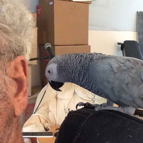 Meet your Posher, Daniel - Picture 1 of 1